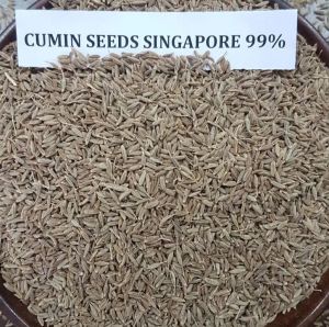 Singapore 99 Cumin Seeds