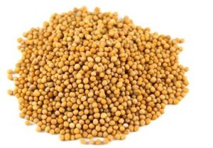 Yellow Mustard Seeds For Cooking, Spices