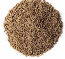 Organic Cumin Seeds