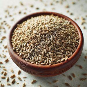 Organic Cumin, Color : Brown, Grade Standard : Food Grade