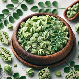 Moringa, Color : Green For Medicine