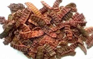 Organic Acacia Concinna, Color : Brown Dried For Medicine, Skin Products