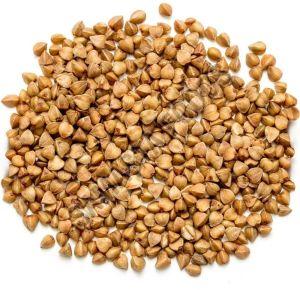 Organic Buckwheat, Color : Brown, Certification : FSSAI, Packaging Type : Plastic Bag