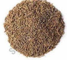 Organic Cumin Seeds, Color : Brown