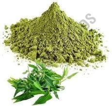 Organic Curry Leaf Powder Dried, Certification : FSSAI For Cooking