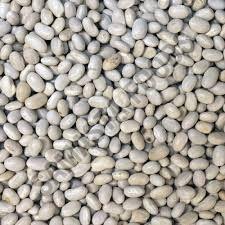 Organic Haricot Beans