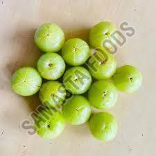 Organic Indian Gooseberry, Color : Green Natural For Medicine