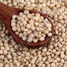 Organic Sorghum, Color : Creamy Dried, Certification : FSSAI