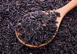 Common Black Rice, Form : Solid, Certification : FSSAI Certified, Packaging Type : PP Bags