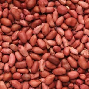 Natural Groundnut Seeds, Packaging Type : Sacks For Agriculture, Cooking