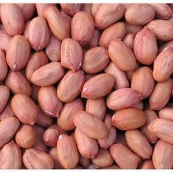 Raw Groundnut Seeds, Color : Brown, Packaging Type : Sacks For Cooking, Agriculture