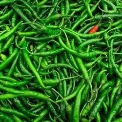 A Grade Green Chilli, Packaging Size : 5-25kg, Packaging Type : Plastic Bag For Cooking