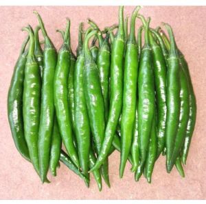 Hybrid Green Chilli, Packaging Size : 5-25kg, Packaging Type : Plastic Bag For Cooking