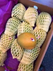 Natural Mango Fruit, Shape : Round, Packaging Size : 5 Kg, 10 Kg, 10kg