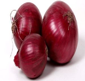 Onions