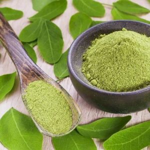 Organic Moringa Leaves Powder 90%, Packaging Size : 5-25kg, Packaging Type : Plastic Bag