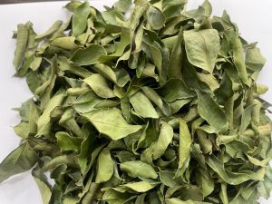 Dried Curry Leaves