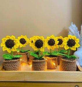 Crochet Flower POT Crochet Flower POT
