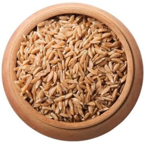 Kapli Wheat / Emmar Wheat