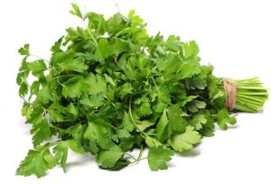 Parsley Leaves