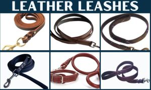 Leather Leashes