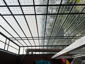 Bird Netting