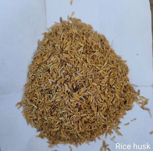 Rice Husk