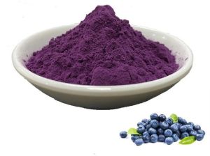 Blue Berry Extract