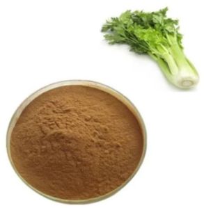 Celery Seed Extract