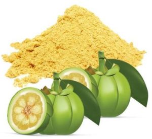 Garcinia Extract, Form : Powder