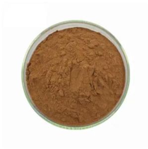 Chinaberry Extract, Color : Brown For Medicine