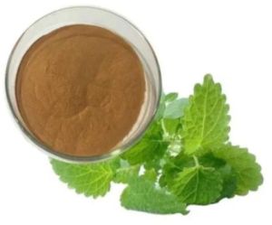 Lemon Balm Extract