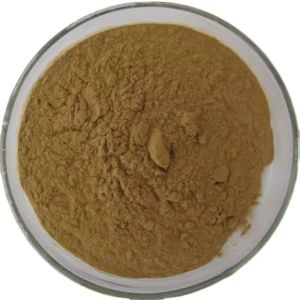 Organic Phyllanthus Niruri Extract, Color : Brown Dried, Form : Powder