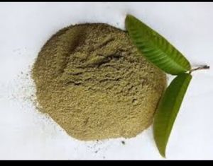 Guava Extract