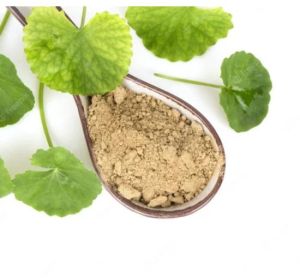 Gotu Kola Extract