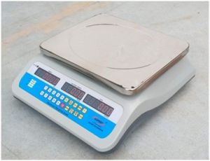 ABS Price Computing Scale-99 Memory -30 Kg