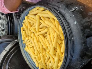 Baby Corn In Brine, Is It Imported : Non Imported, Packaging Type : Container For Snacks