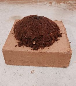 Coco Peat 5Kg Blocks