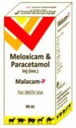 Meloxicam Paracetamol Injection IP (vet.), Packaging Type : Glass Bottles