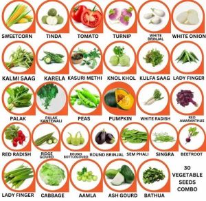 30 Vegetable Seeds Combo Pack