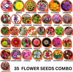 35 Flower Seeds Combo Pack, Packaging Type : PP Bags, Packaging Size : 100gm For Agriculture