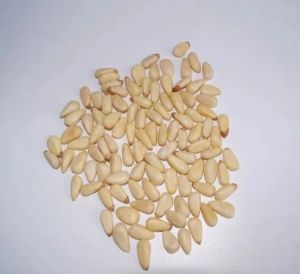 pine nuts