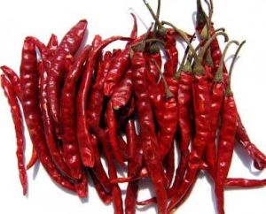 Swarajya Group Raw Natural Dry Red Chilli, Form : Solid For Spices, Cooking