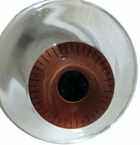 Iris Lens- Dark Brown