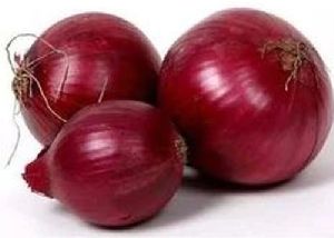 Fresh Red Onion, Packaging Size : 20-50kg, Packaging Type : Plastic Bag For Cooking