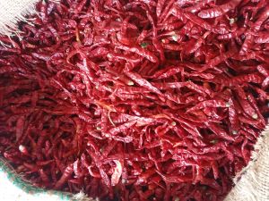 Dry Chillies