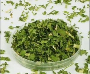 Dehydrated Coriander Leaf, Color : Green, Packaging Type : Plastic Bag For Cooking, Medicinal