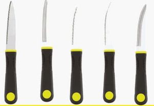 Prachit Stainless Steel Fruit Knife Set