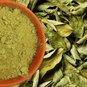 Green Dry Curry Leaves Powder, Packaging Size : 5-25kg for Cooking