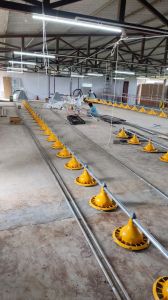 Poultry Feeding Line